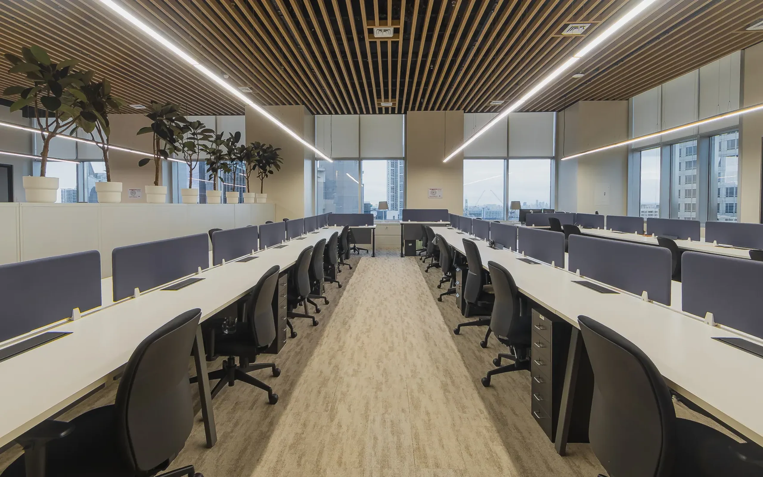 Open-plan office fit-out with rows of workstations, city-view windows, and potted plants along the perimeter